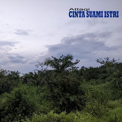 Cinta Suami Istri's cover