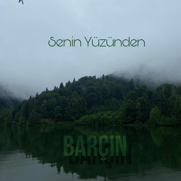 BARÇIN's avatar image