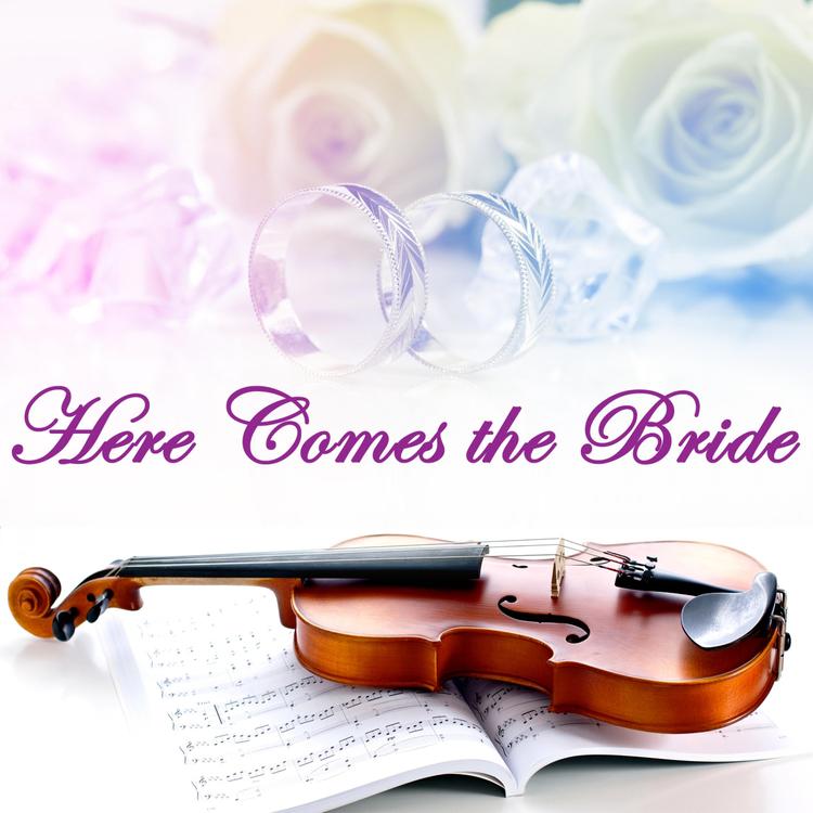 Here Comes the Bride Strings's avatar image