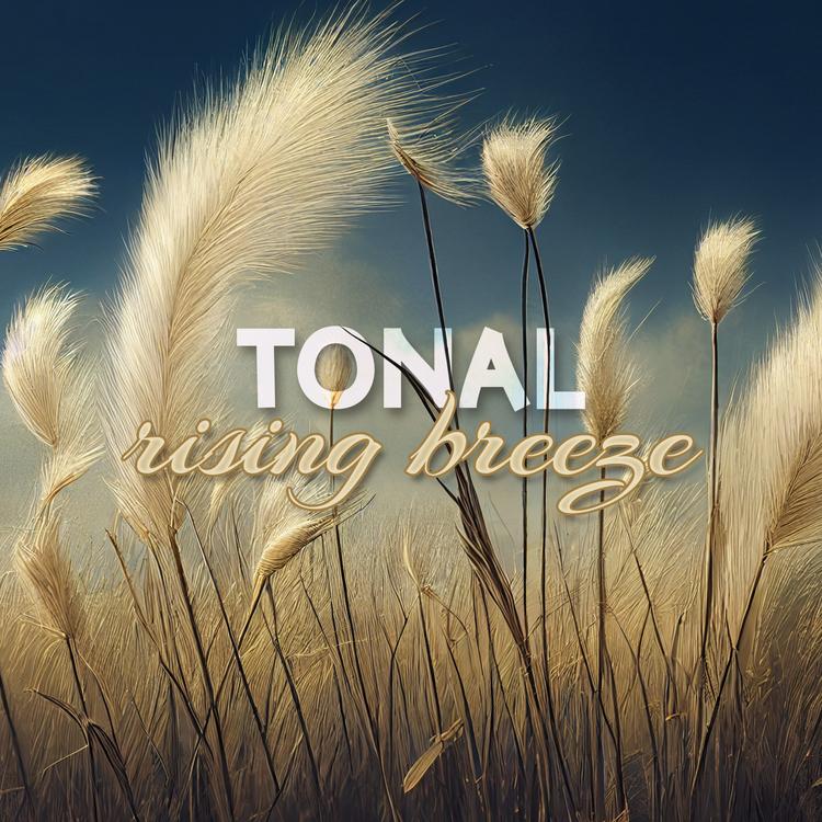 Tonal's avatar image