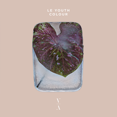 Colour By Le Youth's cover