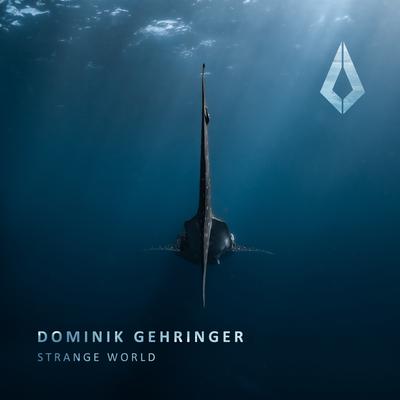Dominik Gehringer's cover