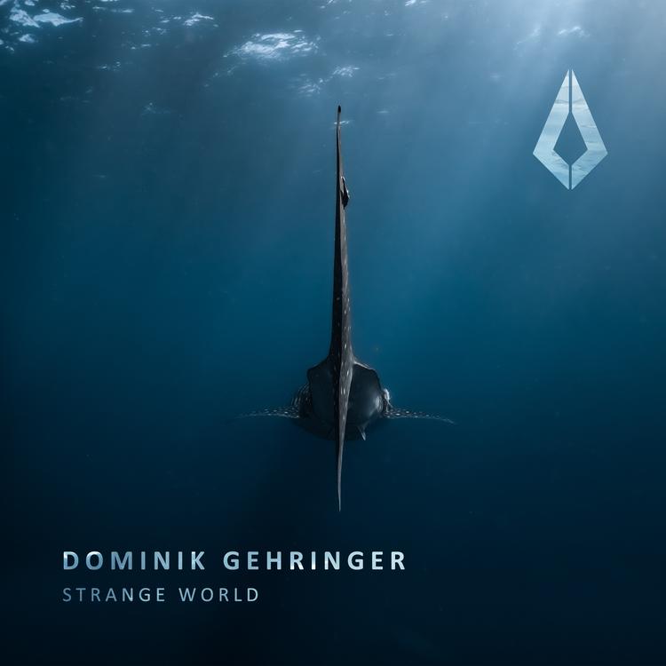 Dominik Gehringer's avatar image