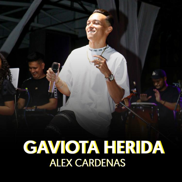 Alex cardenas's avatar image
