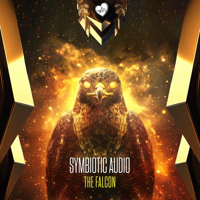 Symbiotic Audio's cover