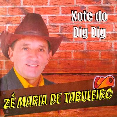 Xote do Dig Dig's cover