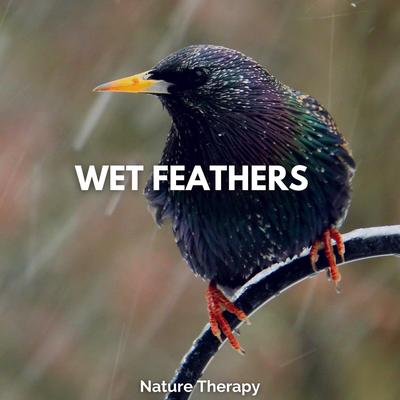 Birds Love Rain By Nature Therapy's cover