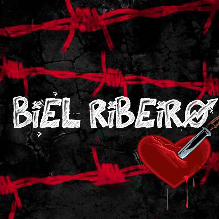 Biel Ribeiro's avatar image