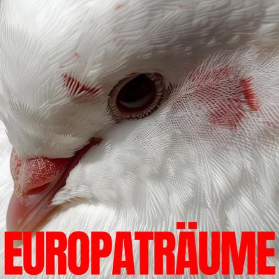 Europaträume By Brutalismus 3000's cover