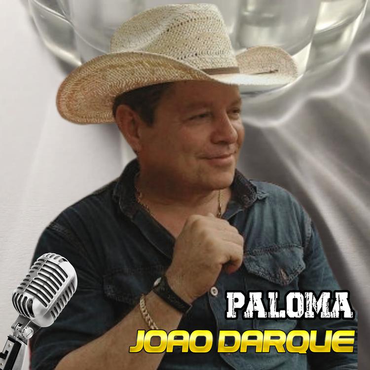 João Darque's avatar image