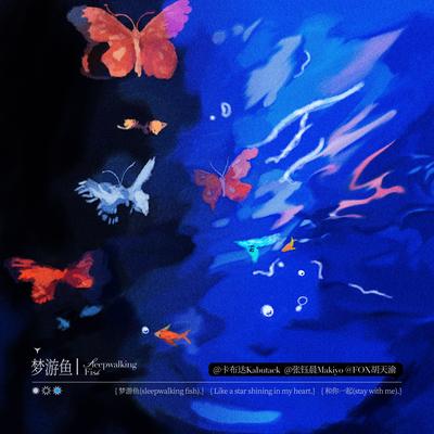 梦游鱼 (Sleepwalking Fish)'s cover