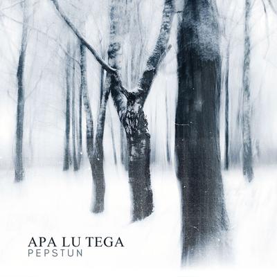 Apa Lu Tega's cover