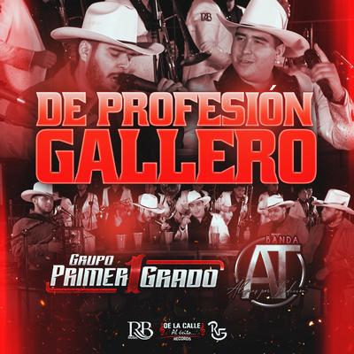 De Profesión Gallero's cover