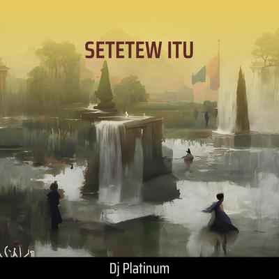 Dj Platinum's cover