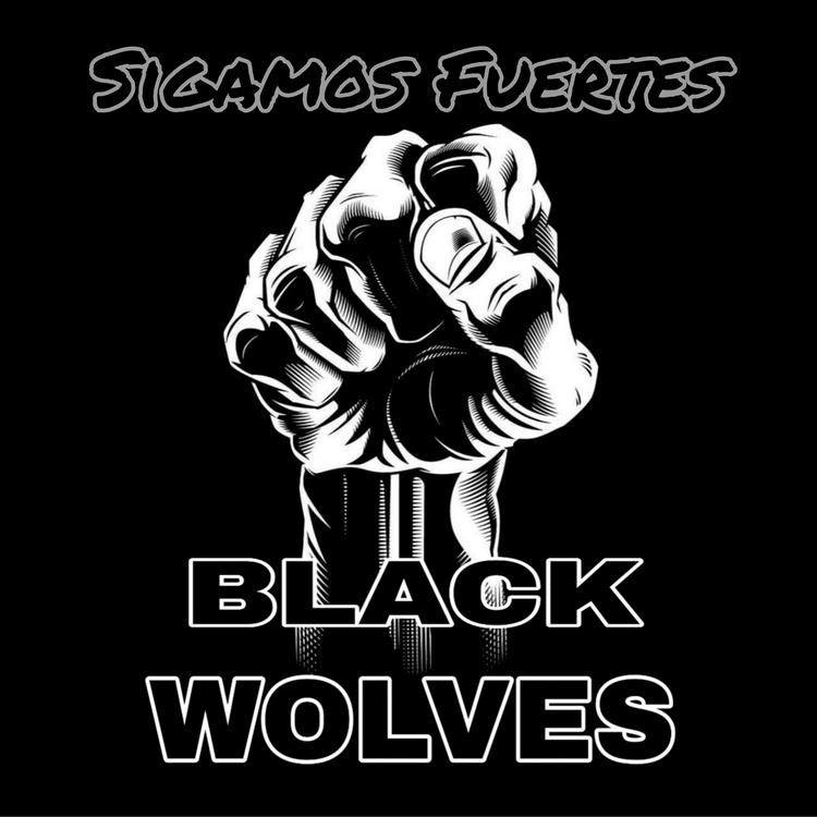 black wolves's avatar image