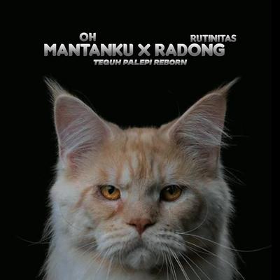 DJ Oh Mantanku X Rutinitas Randong's cover