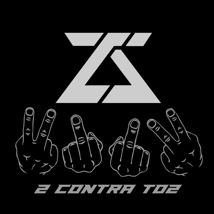 2 Contra To2's avatar image