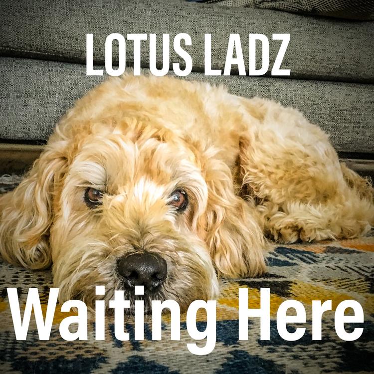 Lotus Ladz's avatar image