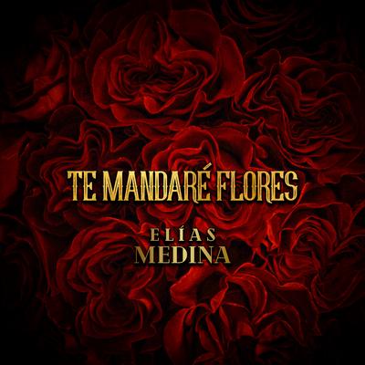 Te Mandaré Flores's cover