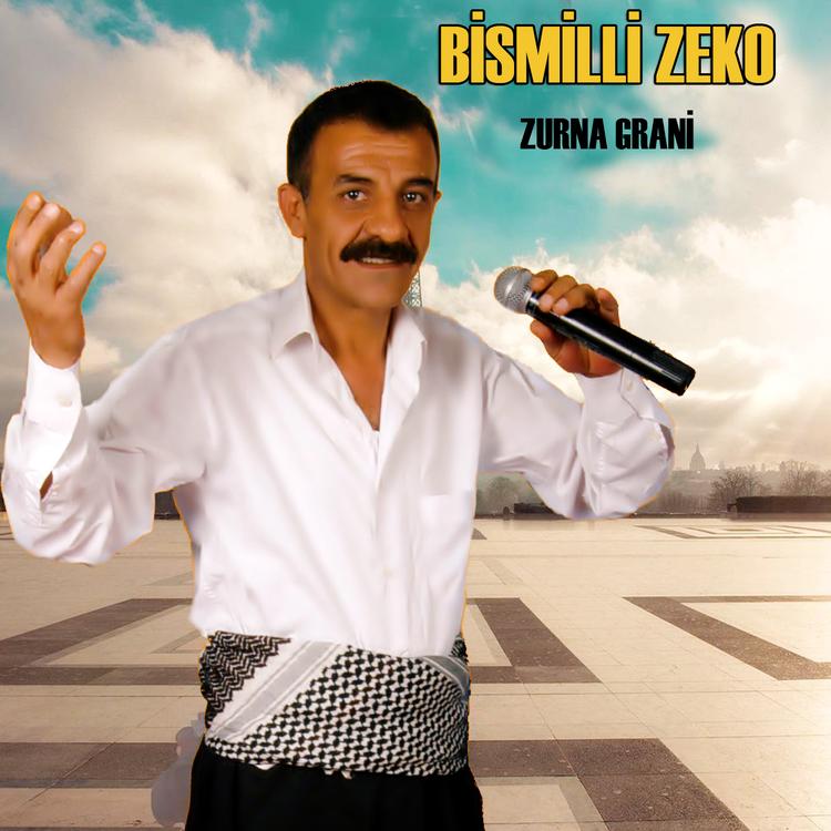 Bismilli Zeko's avatar image