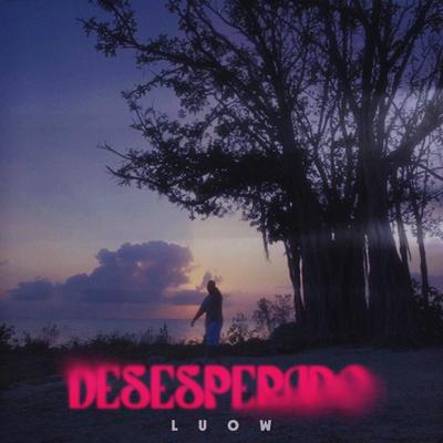 Desesperado's cover