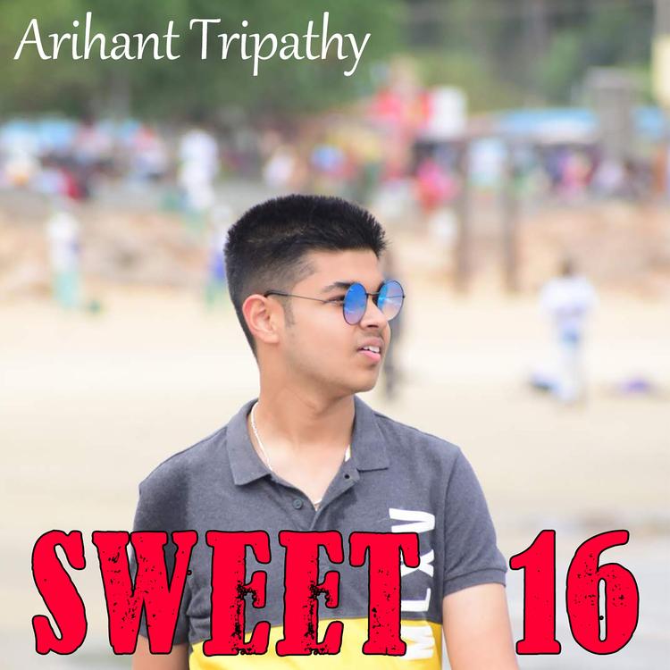 Arihant Tripathy's avatar image
