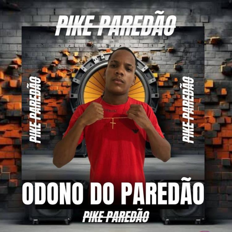 O Dono Do Paredão's avatar image