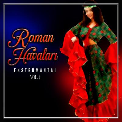 Roman Havaları Vol.1's cover