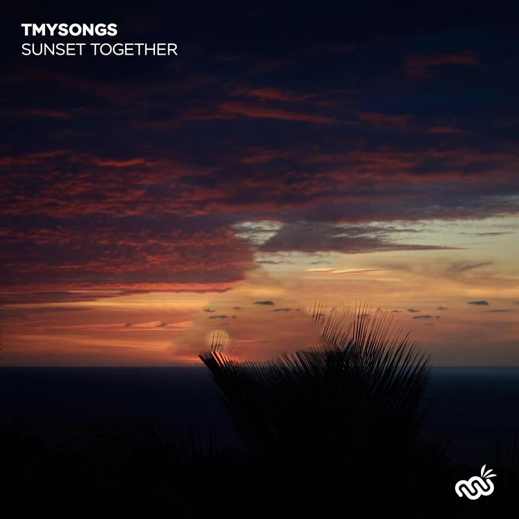 tmysongs's avatar image