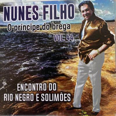 Se Errar Outra Vez By Nunes Filho's cover