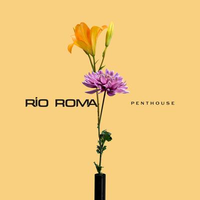 Penthouse By Río Roma's cover