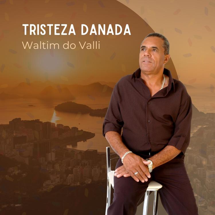 Waltim do Valli's avatar image