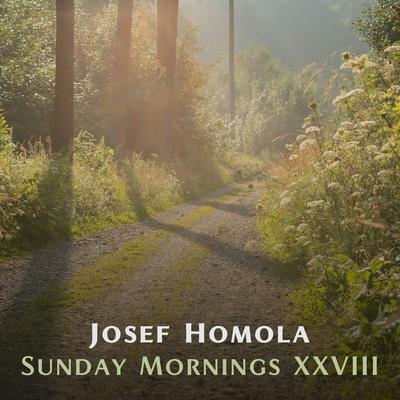 Sunday Mornings XXVIII's cover