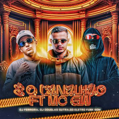 É O CANALHÃO By Ferreira Dj, DOUGLAS SUTRA, SO ELETROFUNK BOM, Mc Gw's cover