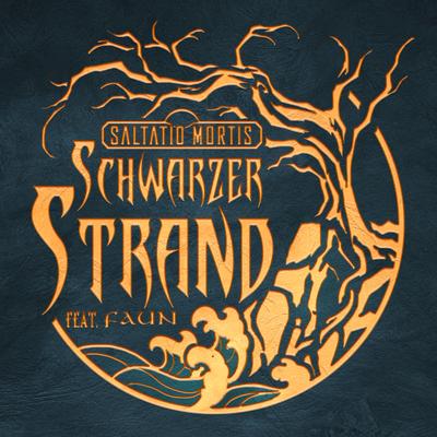 Schwarzer Strand's cover
