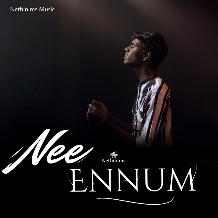 Nethinims Music's avatar image