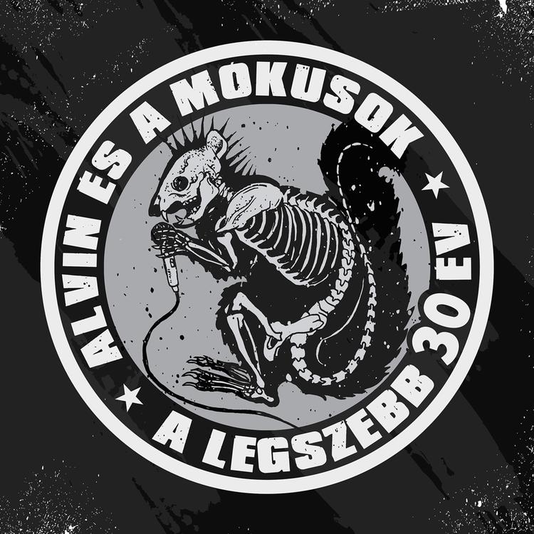 ALVIN ÉS A MÓKUSOK's avatar image