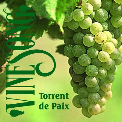 Torrent De Paix's cover