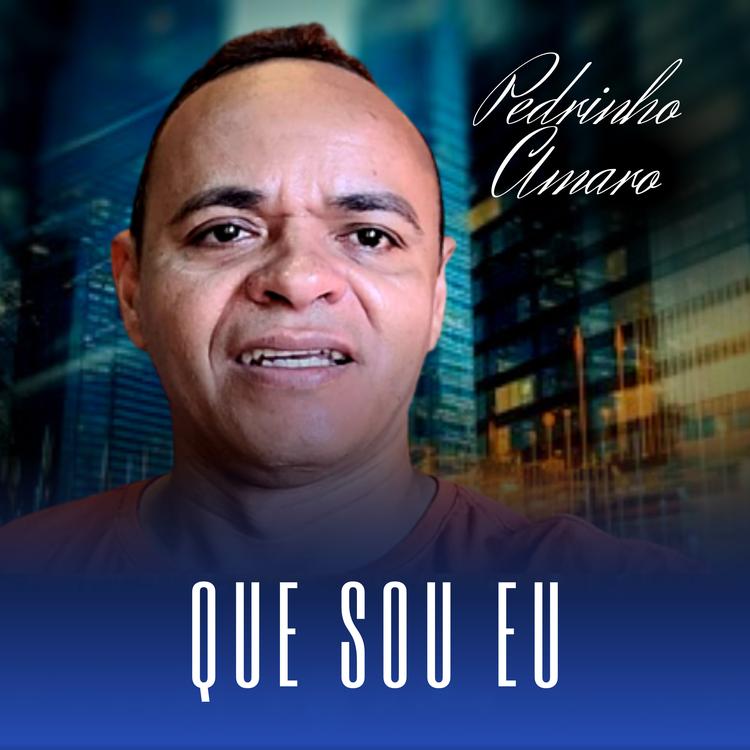 Pedrinho Amaro's avatar image