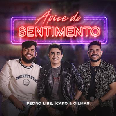 Ápice do Sentimento (Ao Vivo) By Pedro Libe, Ícaro e Gilmar's cover