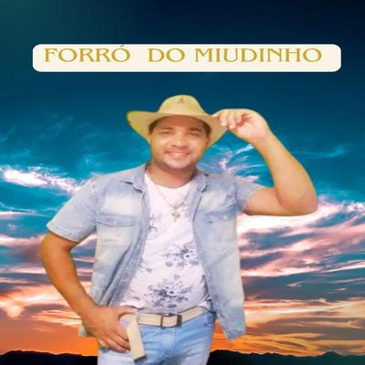 Forro do Miudinho's cover