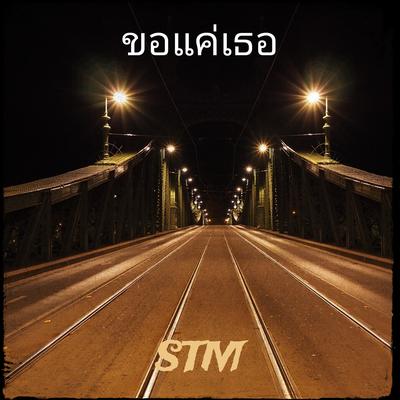 ขอแค่เธอ By STM's cover