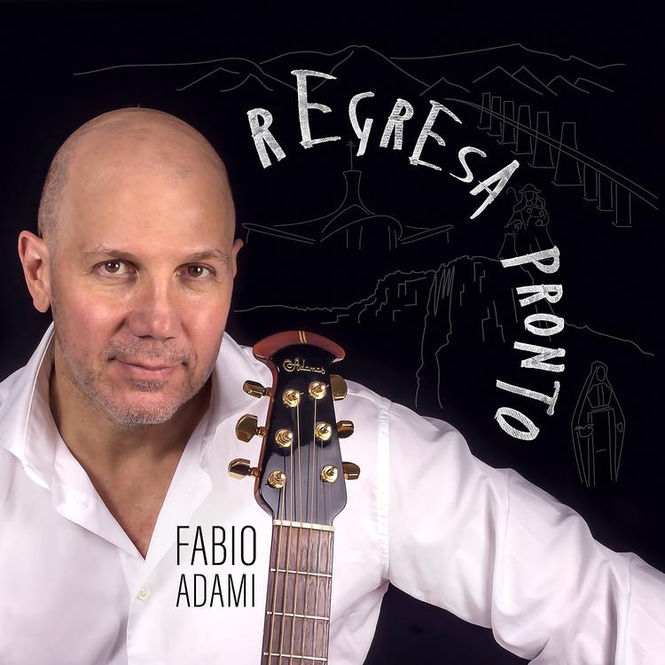Fabio Adami's avatar image