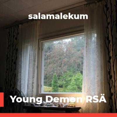 salamalekum's cover