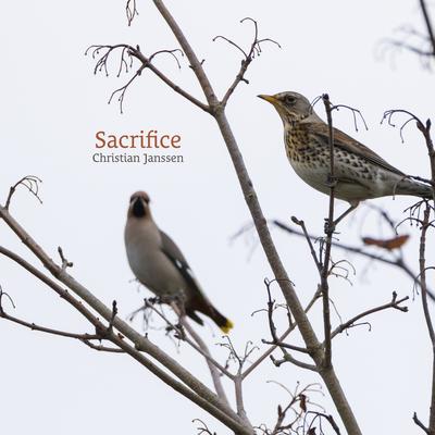 Sacrifice By Christian Janssen's cover