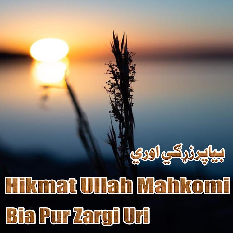 Hikmat Ullah Mahkomi's avatar image