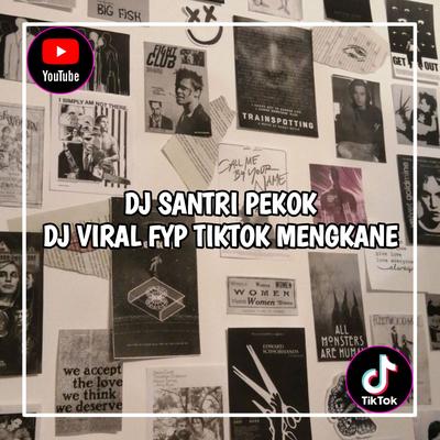 DJ Santri Pekok Viral Tiktok Terbaru 2023 Yang Kalian Cari !'s cover