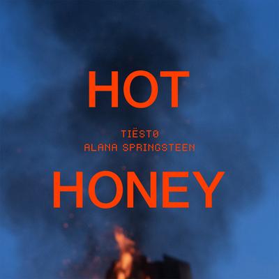 Hot Honey By Alana Springsteen, Tiësto's cover