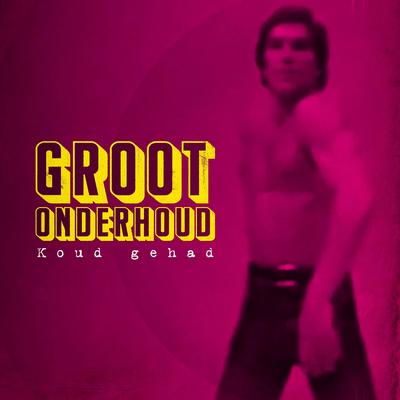 Groot Onderhoud's cover