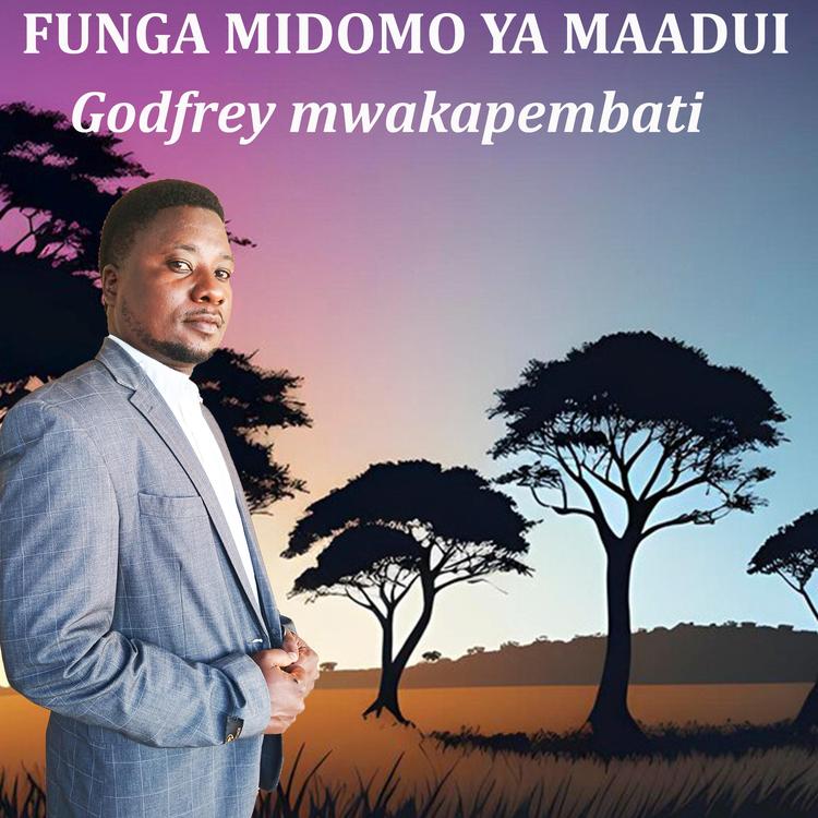 GODFREY MWAKAPEMBATI's avatar image